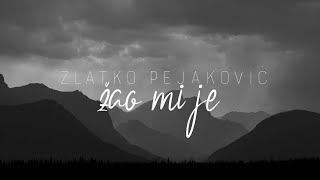 Zlatko Pejaković  Žao mi je Official lyric video [upl. by Emili]