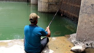 AWSOME fishingfisherman catching defrent fishes with small hook [upl. by Sucramraj874]