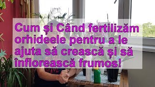 Cand și cum fertilizam orhideea pentru o inflorire rapida [upl. by Samale]