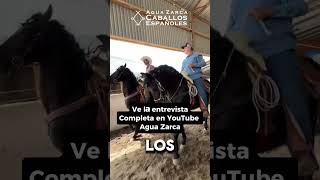 Vicente Fernández me Cambio unos Ponis [upl. by Rosalynd]