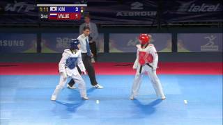 2013 WTF World Taekwondo Championships Final  Female 46kg [upl. by Lehcsreh205]