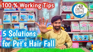 5 Solutions to Stop Hair Fall In Cats  Best Tips For Loss Hair In Cats  Stop Persian Cat hair fall [upl. by Doralynne]