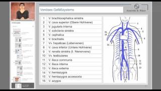 kreawi Videolehrgang für Heilpraktiker 05 Gefäße und Kreislauf [upl. by Enyehc540]
