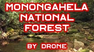 Monongahela National Forest West Virginia by Drone [upl. by Anirt]