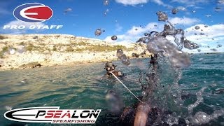 Chasse sousmarine Vidéo récapitulative des 4 premiers mois 2014 spearfishing pescasub [upl. by Lopez]