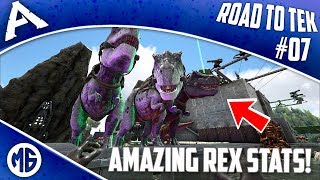 STARTING ON THE BOSS DINOS Road to Tek Official PvP Ep 7  Ark Survival Evolved [upl. by Ttiwed130]