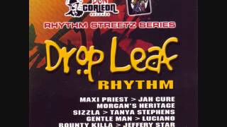 Drop Leaf Riddim Mix 2005 By DJ WOLFPAK [upl. by Aidyn200]