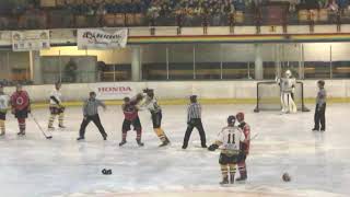 Bracknell bees fights 25 josh tetlow [upl. by Assylem]