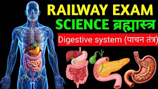 Digestive system पाचन तंत्र  pachan tantra railway exam 202424  Railway exam Science gk [upl. by Ennoira]