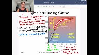 Hemoglobin and Sigmoidal Binding Curves [upl. by Aehsat]