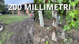 ENNESIMA ALLUVIONE  VENDEMMIA 2024  Parte 2 [upl. by Belayneh807]