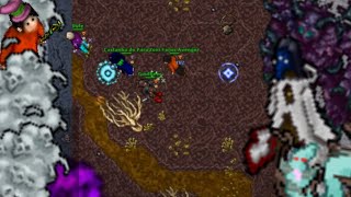 TIBIA l HUNT l ED l TEAM HUNT l ROTTEN GOLEM l FARM [upl. by Arok]