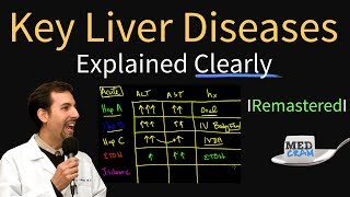 Diagnosis of Key Liver Diseases  Hepatitis A B C vs Alcoholic vs Ischemic AST vs ALT Labs [upl. by Anaes288]