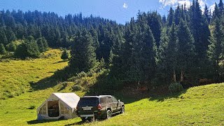 Family Camping Surrounded by Nature [upl. by Ahsatsana]