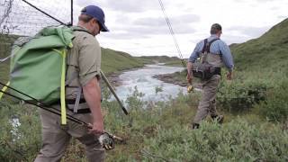 Tree River Camp  Plummers Arctic Lodges [upl. by Ajnat299]