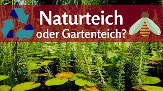 Naturteich oder Gartenteich Kreislauf und Kapillarsperre bei Teichen [upl. by Aicilf]