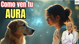 😱 ¿COMO VEN LOS PERROS EL AURA DE LAS PERSONAS 😱 [upl. by Arhaz]