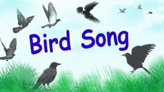 1 Hour of Relaxing Bird Songs in Wood Birds Chirping [upl. by Eiramana]