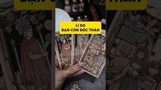 Lí do bạn còn độc thân tarot duongtarot tarotreels tarotvietnam tarotonline tinhyeu [upl. by Latsyrhk]