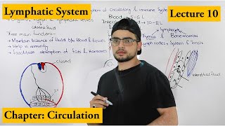 lymphatic system complete detail  Chapter Circulation  Video  10 [upl. by Jerrome421]