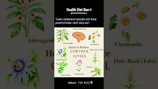 HERBS REDUCE YOUR CHOLOSTROL LEVEL  HealthDietDuo shorts [upl. by Bibi]