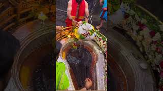 Shiv Bhakt Hoon MeinJai Mahadev Jai Mahakaal shiva ytshorts shivling shivling [upl. by Oinotla]