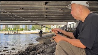 GOLD COAST  FISHING Nuv ntses Nyob Gold Coast Brisbane Australia 🇦🇺 [upl. by Ettelocin663]