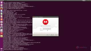 How to Install and Configure Mega in Linux [upl. by Hedberg600]