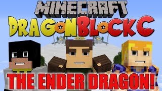 Dragon Block C 164 w xRpMx13 and Rhymestyle Fighting the Ender Dragon DBZ Minecraft [upl. by Ayocal]