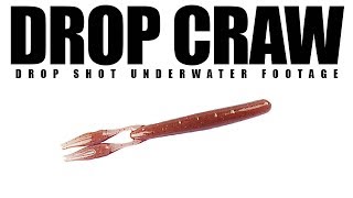 Drop Craw  Underwater Drop Shot [upl. by Forras]