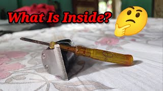 What Is Inside A Trimmer  Legendsbhaiishear02 MRINDIANHACKER CrazyXYZ [upl. by Lanti]