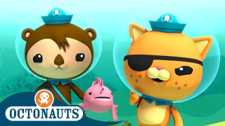 Octonauts  The Artificial Reef Rescue Operation 🐠  Season 3  Cartoons for Kids [upl. by Auberon213]