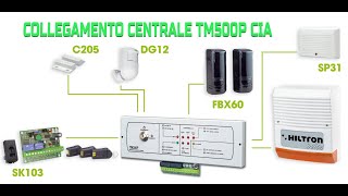 CENTRALE ALLARME CIA HILTRON TM500P COLLEGAMENTI E BASI DI FUNZIONAMENTO [upl. by Easter]