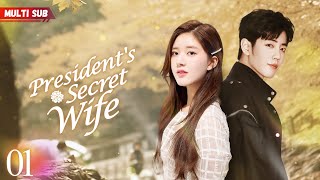 Presidents Secret Wife💕EP01  zhaolusi  Pregnant bride encountered CEO❤️‍🔥Destiny took a new turn [upl. by Limber]