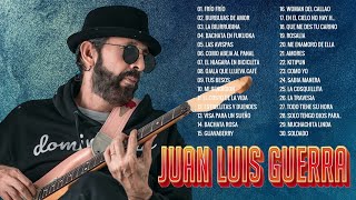 Juan Luis Guerra EXITOS EXITOS EXITOS Sus Mejores Canciones  Juan Luis Guerra Mix Nuevo 2024 [upl. by Jecoa760]