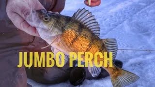 Ice Fishing South Dakota PERCH Insane Sunset Bite [upl. by Eerot]