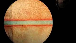 Video 4  Double Diffusive Convection in layers [upl. by Yila]