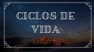 CICLOS DE VIDA  NUMEROLOGIA CABALISTICA [upl. by Enirual]