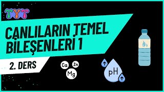 Canlıların Temel Bileşenleri 1 tytbiyoloji 2ders [upl. by Ecirahc811]