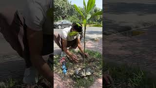 10 Lakh Trees Movement shorts shortsfeed [upl. by Pricilla]