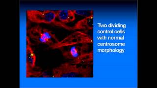 Nano VI Paul Schulte NIOSH [upl. by Idur]