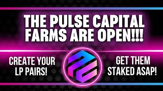 Pulse Capital Just Went Live [upl. by Jaenicke827]