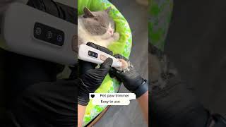 Pet paw trimmer petpet cat catlover catcare catpaw [upl. by Esirahc]