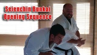 Practical Kata Bunkai Seienchin Seiyunchin Opening Sequence [upl. by Catherin846]