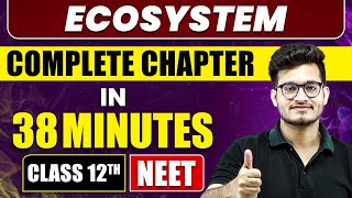 Ecosystem in 38 Minutes  Full Chapter Revision  Class 12th NEET [upl. by Aihsein]