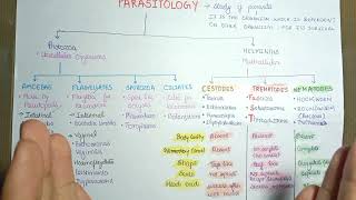 parasitology basics  Parasitology introduction microbiology [upl. by Winer332]