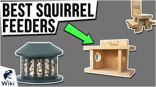 10 Best Squirrel Feeders 2021 [upl. by Ykroc614]