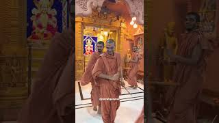 Ras suratgurukul swaminarayan shorts status ras saints darshan music [upl. by Abana972]