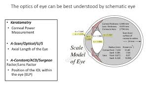 Biometry Part I Keratometry  Part II on Biometry will be available at quickguideorg [upl. by Gravante]