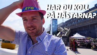 Travhästar och tester  en vecka i maj med Jesper Nelin [upl. by Nickolas]